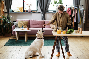 Similar image 21580809