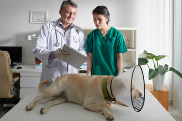 Similar image 21578277