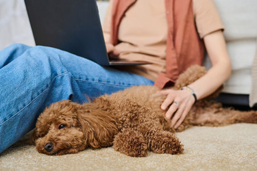 Similar image 21569273