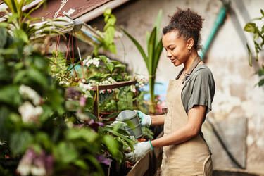 Similar image 21599749