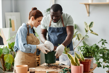 Similar image 21590453