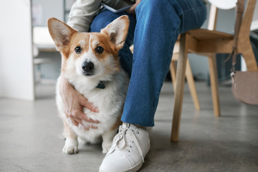 Similar image 21596731