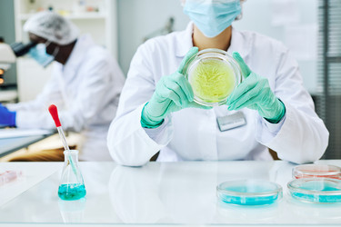 Similar image 21588074