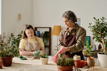 Similar image 21587104