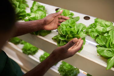 Similar image 21583940