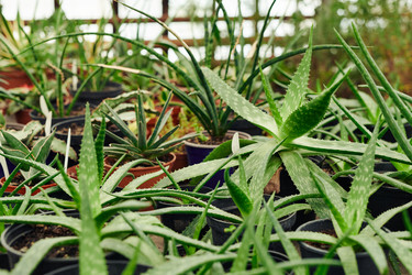 Similar image 21567515