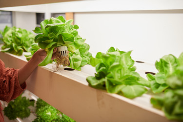 Similar image 21580717