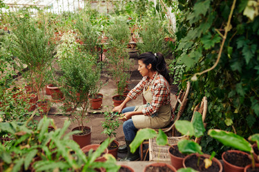 Similar image 21603307