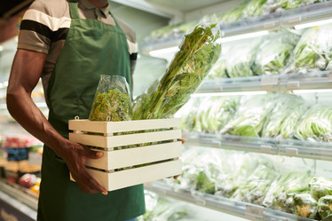 Similar image 21579664