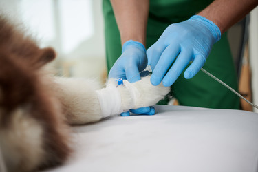 Similar image 21605449