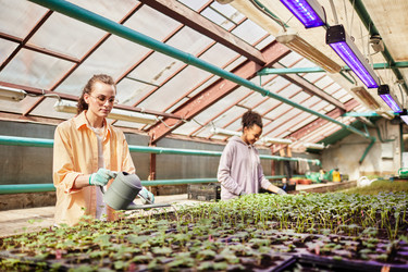 Similar image 21589323