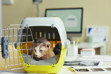 Similar image 21595889