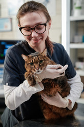 Similar image 21591843