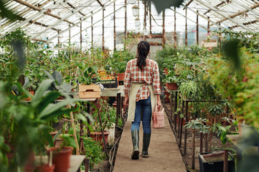 Similar image 21575036