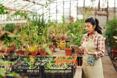 Similar image 21577630