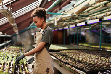 Similar image 21581150