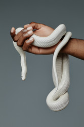 Similar image 21590281