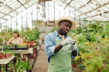 Similar image 21565997