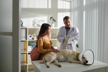 Similar image 21582153