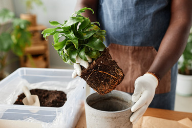 Similar image 21606847