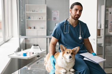 Similar image 21583415