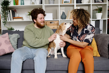 Similar image 21579222