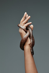 Similar image 21589442