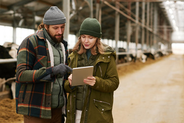 Similar image 21588681