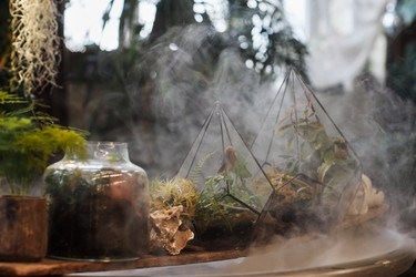 Similar image 21598174