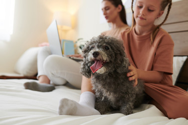 Similar image 21566311