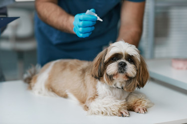 Similar image 21588953