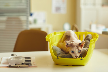 Similar image 21580616