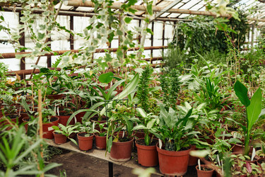 Similar image 21603607