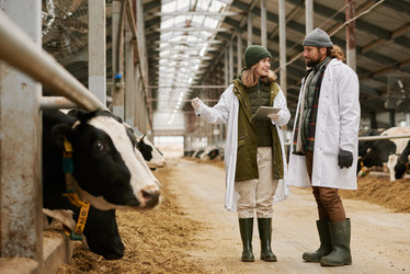 Similar image 21572225