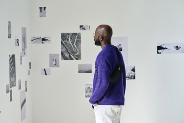 Similar image 21593596