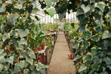 Similar image 21597955