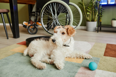 Similar image 21605549