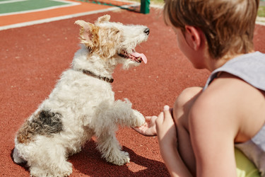 Similar image 21570425