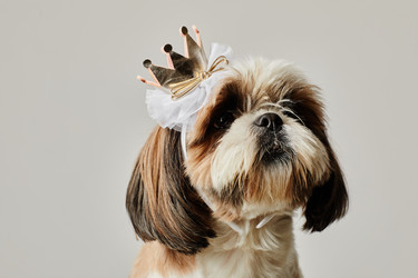 Similar image 21575748