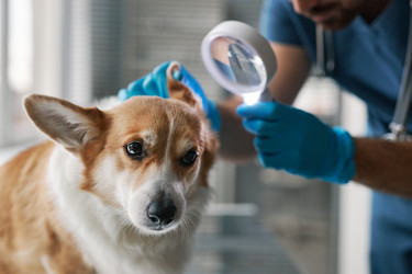 Similar image 21572459