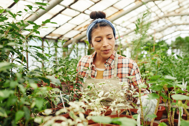 Similar image 21604138