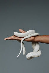 Similar image 21592391