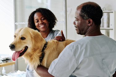 Similar image 21601178