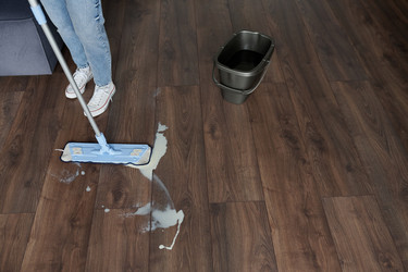 Similar image 21583412