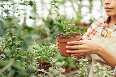 Similar image 21565486