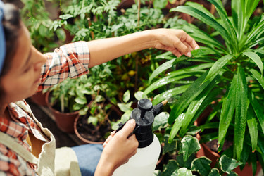 Similar image 21588626