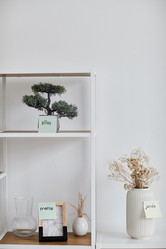 Similar image 21582674