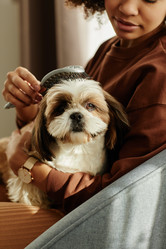 Similar image 21597569