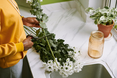 Similar image 21601374