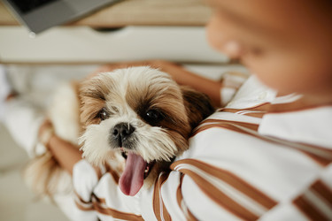 Similar image 21577890